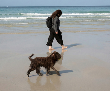 acompañamiento_animal_aequi